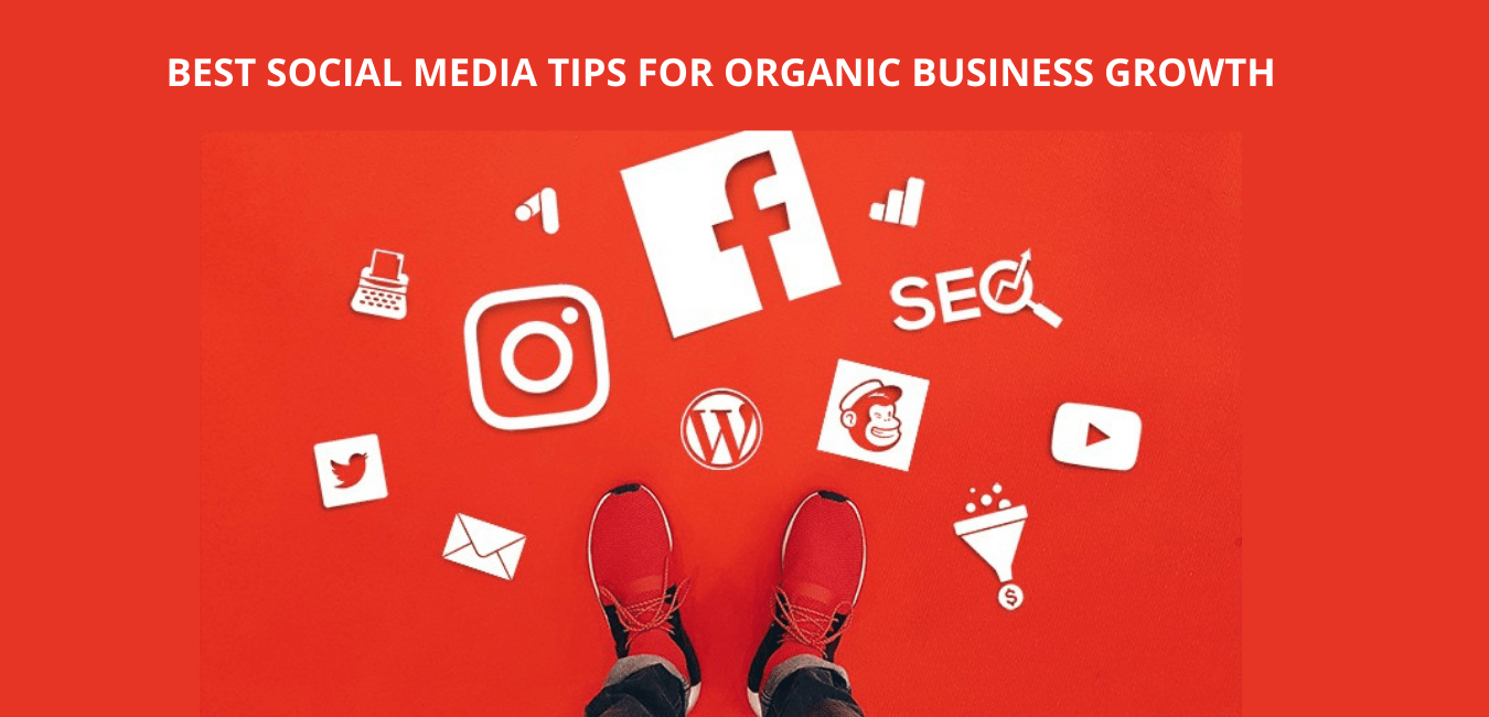 social media tips for business growth