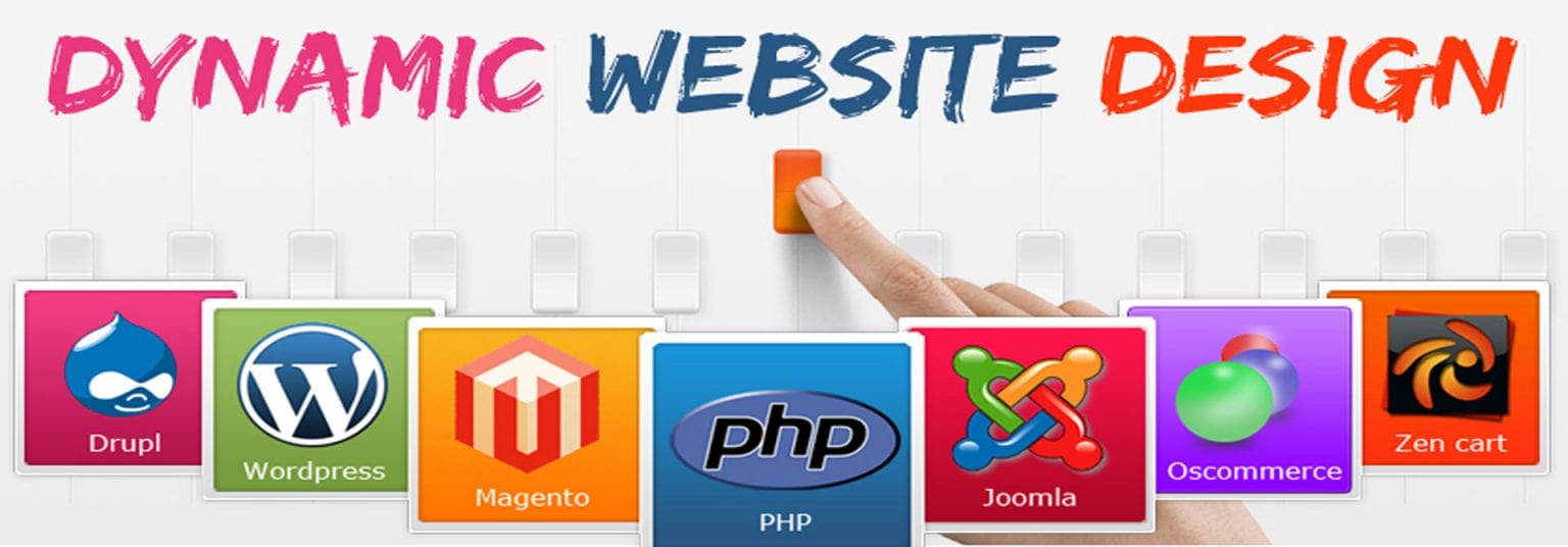 dynamic website designing services