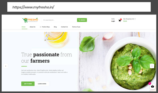 My Fresho - Website Designing & Development Portfolio